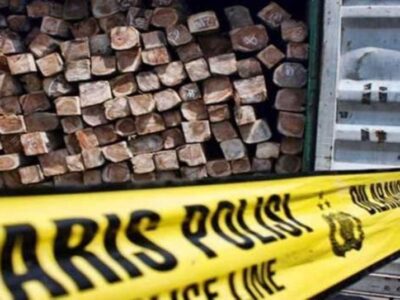 Polisi Amankan 2 Kubik Kayu Hasil Pembalakan Liar di Bengkulu Selatan