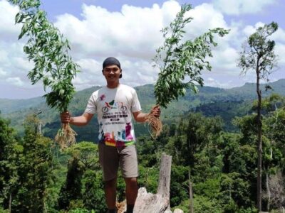 Polres Seluma Ungkap Ladang Ganja di Kawasan Hutan Lindung