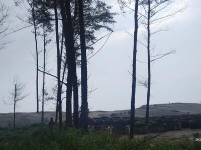 Aktifitas Proyek BWSS VII Rusak TWA Pantai Panjang