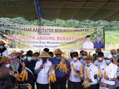 Bupati Gusnan Ikuti Panen Raya Jagung Bersama Mentan Syahrul Yasin Limpo