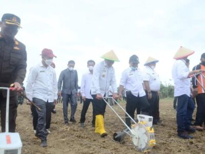 Bengkulu Selatan Berpotensi Jadi Penghasil Jagung Terbesar