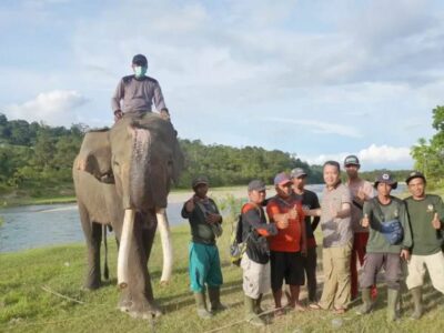 Jaga Habitat Gajah, Gubernur Dukung Hapus Izin Tambang di TWA Seblat