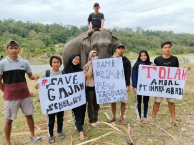 Aksi Tolak Tambang Inmas Abadi Dilantangkan Lewat Medsos