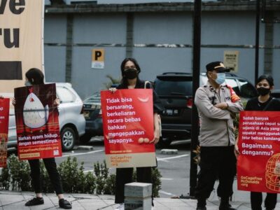 Aktivis Tentang McDonald’s atas Penggunaan Telur dari Kandang Baterai