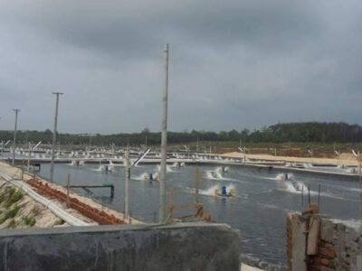 Gubernur Proyeksikan Tambak Udang Kaur