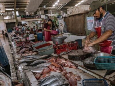 Industri Budidaya Ikan di Indonesia Buruk Bagi Kesejahteraan Hewan