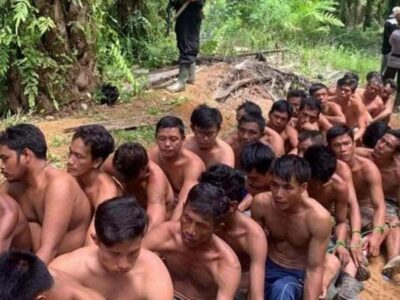 Panen Sawit, 40 Orang Warga Mukomuko Jadi Tersangka