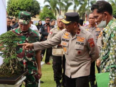 Kontes Bonsai Polda Bengkulu, Ini Daftar Pemenangnya
