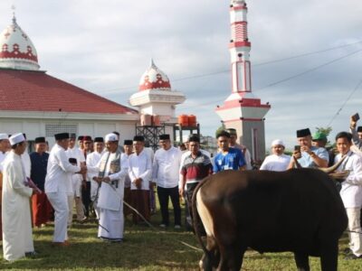 Bupati Erwin Serahkan 4 Sapi Kurban di Masjid  Baitul Falihin