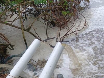 Walhi Bengkulu Laporkan 2 Perusahaan Tambak Udang di Kaur