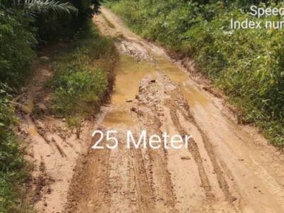 Cerita Bidan Desa Susuri Jalan Tanah di Seluma; Jadi TKS Kontrak PTT Diputus
