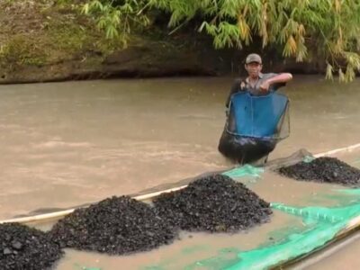 Pemprov Akan Legalkan Pengambilan Limbah Batu Bara di Sungai Bengkulu