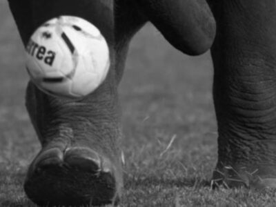 Pilpres Jangan Seperti Sepak Bola Gajah