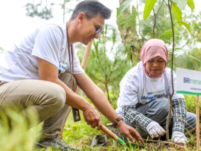 Lingkungan Lebih Hijau & Jadi Cuan, Nasabah Ungkap Manfaat BRI Menanam