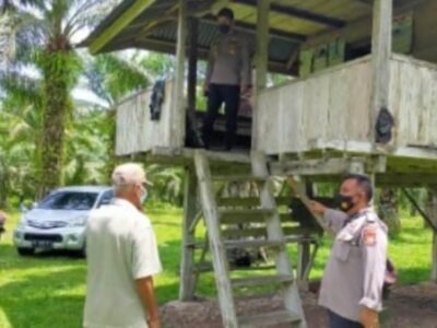 Warga Temukan Mayat dalam Pondok Kebun Sawit di Kedurang