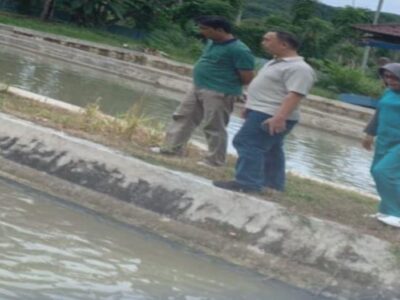 Kadis DKP Provinsi Bengkulu Tinjau BBI Suku Tiga Nasal Kabupaten Kaur