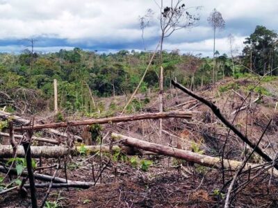 28 Ribu Hektar Kawasan Bentang Alam Seblat Rusak, Ini Temuan Konsorsium