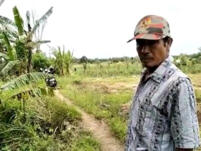 Puluhan Hektar Sawah di Seluma Kekeringan, Dinas Pertanian Abai