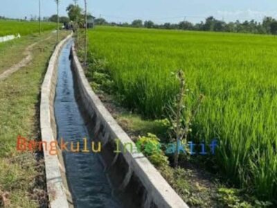 Pemkab Lebong kembali Alokasi Dana Bangun Irigasi pada Tahun 2023
