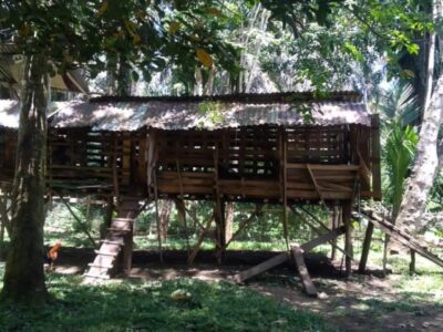 Waspada! Spesialis Curnak Berkeliaran di Seluma, 8 Kambing Warga Telah Hilang