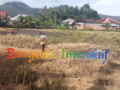 Pemdes Suka Damai Survey Lahan Persiapan Program MT2