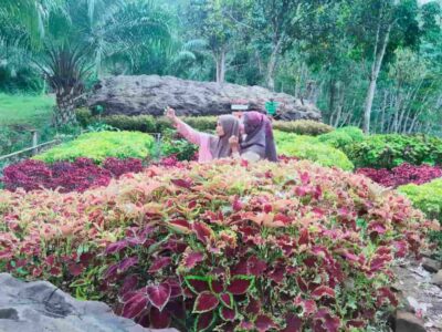 Berikut Rekomendasi Tempat Wisata di Seluma Saat Libur Lebaran