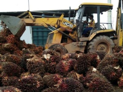 Indonesia Menuju Penghiliran Produk Sawit