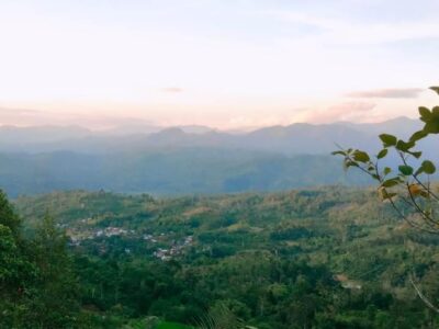 Penurunan Status Hutan Kawasan di Seluma Disetujui 20 Ribu Hektar