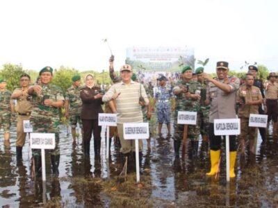 Gubernur Rohidin Tanam Mangrove Serentak Nasional di Kawasan Pulai Baai