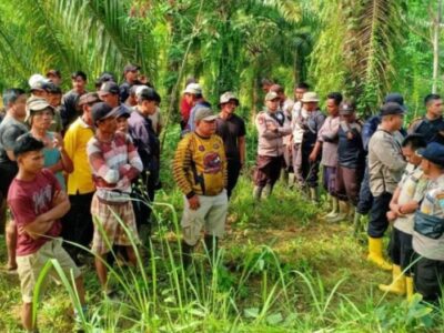 Menkopolhukam Diminta Tengahi Konflik Lahan antara Petani vs PT DDP