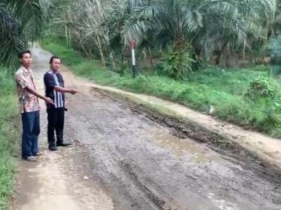 Puluhan Tahun Jalan di Seluma Ini Belum Tersentuh Pembangunan