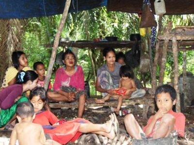 Perubahan Hutan Ancam Kehidupan Orang Rimba
