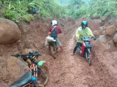 42 Hektar Hutan Kawasan Turun Status, Pemkab Seluma Usulkan Rp 60 M Bangun Jalan Lubuk Resam