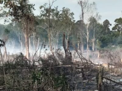 Bakar Sampah, Lahan Sawit dan Karet Milik Warga Seluma Ludes Terbakar