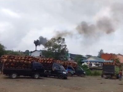 Selain Cemari Sungai, Cerobong Asap PT AIP juga Picu Polusi Udara