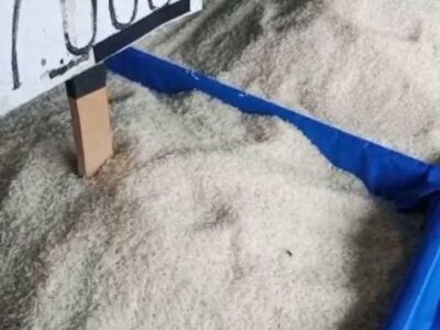 Harga Beras Melonjak, Pemkab Seluma Segera Gelar Operasi Pasar Murah