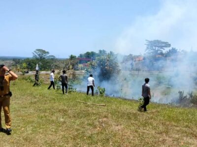 Musim Kemarau, Ketua Dewan Seluma Imbau Masyarakat Waspada Kebakaran Hutan dan Lahan
