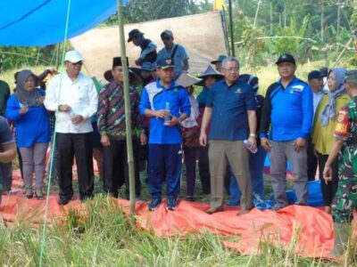 Bupati Lebong Hadiri Perayaan Panen Raya Musim Tanam Kedua