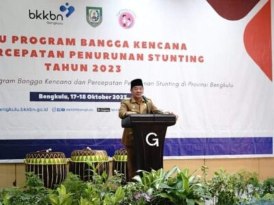 Wagub Rosjonsyah: Jadi PR Bersama untuk Capai Target Turunkan Angka Stunting