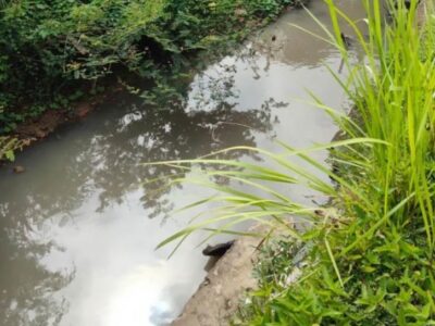 Dinas LH Seluma Tunggu Hasil Uji Lab Limbah PT AIP yang Diduga Cemari Sungai