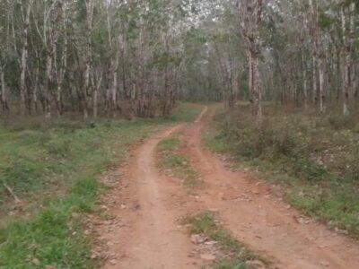 Jalan Masih Tanah Jadi Alasan Guru SDN 157 dan SMPN 43 Seluma Malas Mengajar