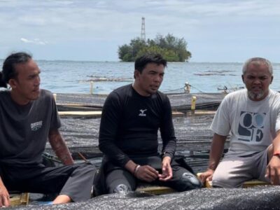 Sumber Kesejahteraan Nelayan, DKP Provinsi Bengkulu Dukung Pengembangan Budidaya Lobster