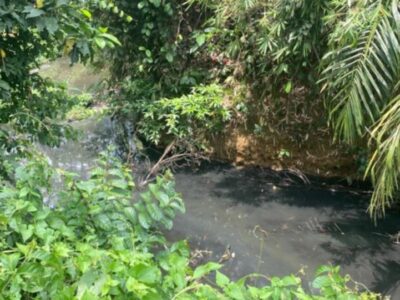 Polisi Bakal Panggil DLH Soal Limbah PT AIP Cemari Aliran Sungai Gasan Seluma