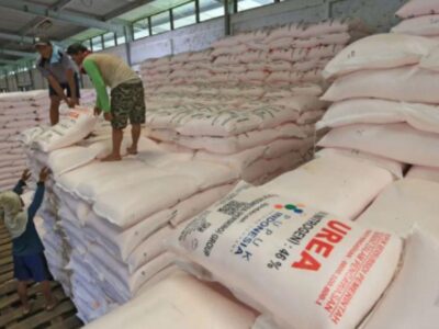 32,917 Ton Pupuk Subsidi Siap Didistribusikan ke Bengkulu Awal Januari