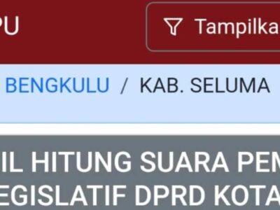 Hasil Hitung Sementara, 3 Partai Ini Raih Suara Terbanyak di Pileg 2024 Seluma
