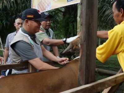 Desa Riak Siabun Didorong Jadi Pusat Pengembangan Ternak di Bengkulu