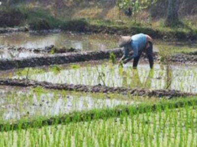 Wakil Ketua II Apresiasi Rencana Pemerintah Bakal Rekrut 500 CPNS