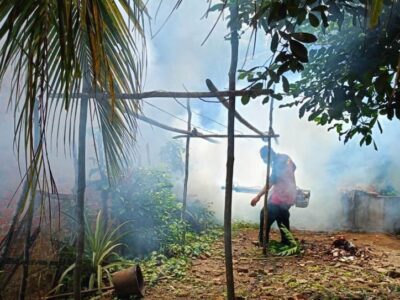 Fogingg Gencar Dilakukan, Kasus DBD di Seluma Malah Meningkat
