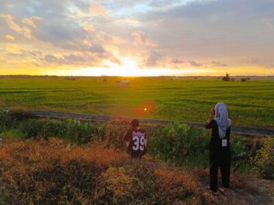 Eksotisnya Persawahan Talang Semut, Favorit Warga Seluma Berburu Sunset Ramadan