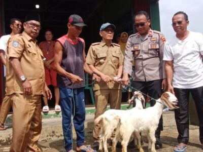 Pemdes Pasar Palik Bagikan Bantuan Sepasang Kambing untuk 32 KK